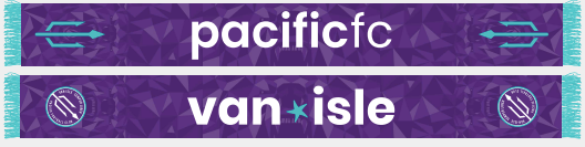 2023 Purple Primary Scarf