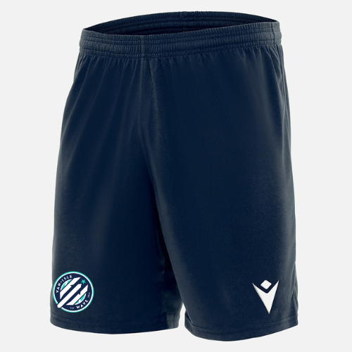 Male Wave Shorts